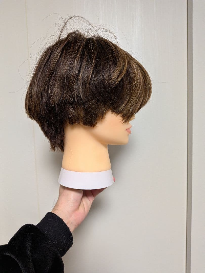 カットウィッグ6体