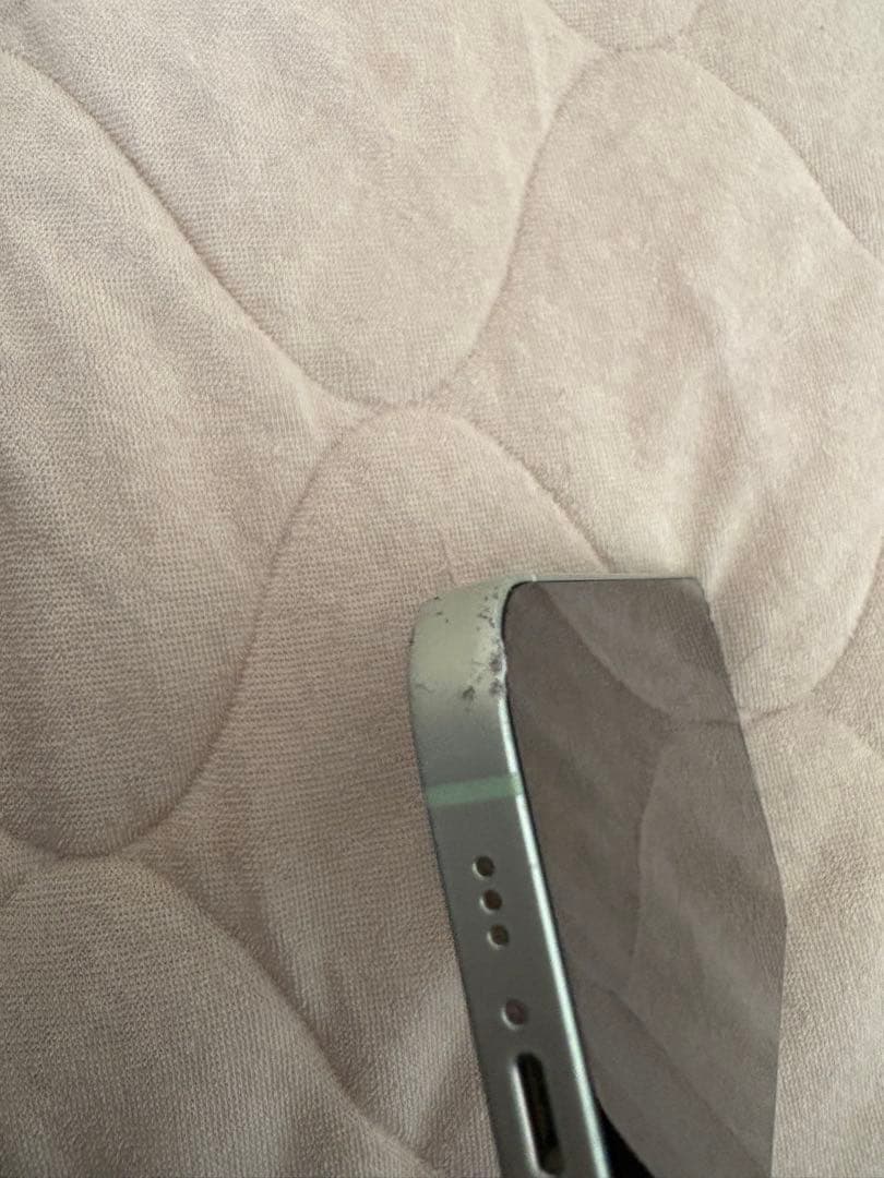 Apple iPhone 12 Green 64GB 本体と充電器