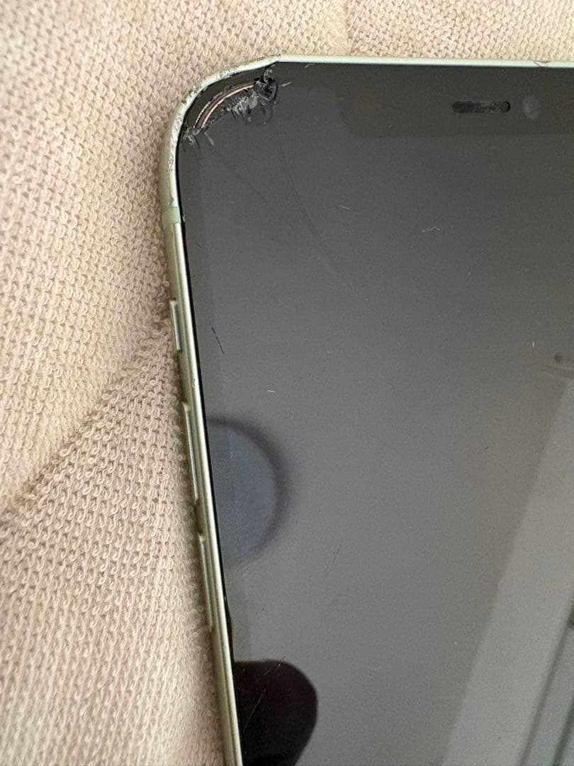 Apple iPhone 12 Green 64GB 本体と充電器