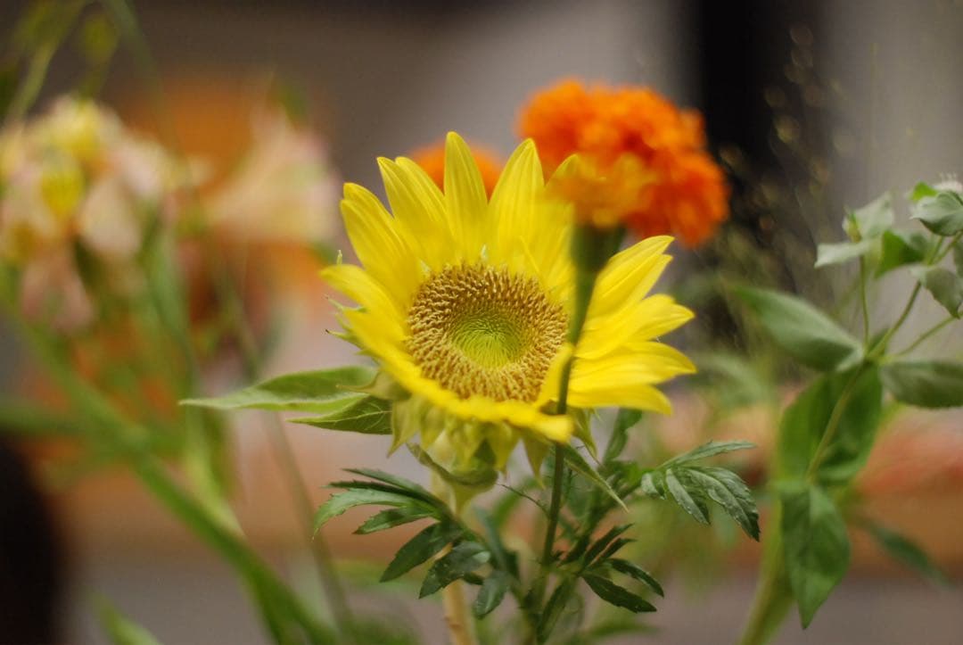 Nikon D80 デジタル一眼 AF Nikkor35-70レンズ付 動作品