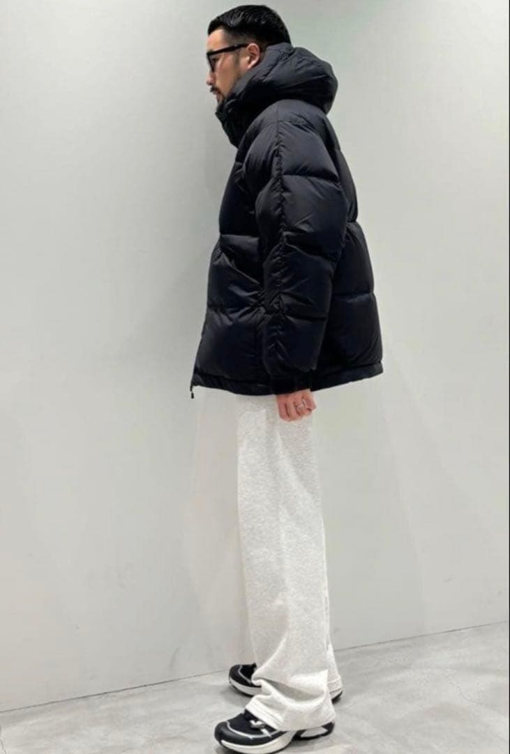 天*犬様 DAIWA PIER39 TECH ALPINE DOWNPARKA