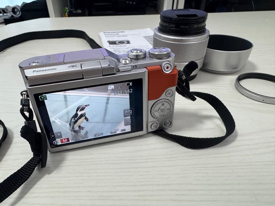 【簡易三脚&収納ポーチ2種付】Panasonic LUMIXダブルレンズキット