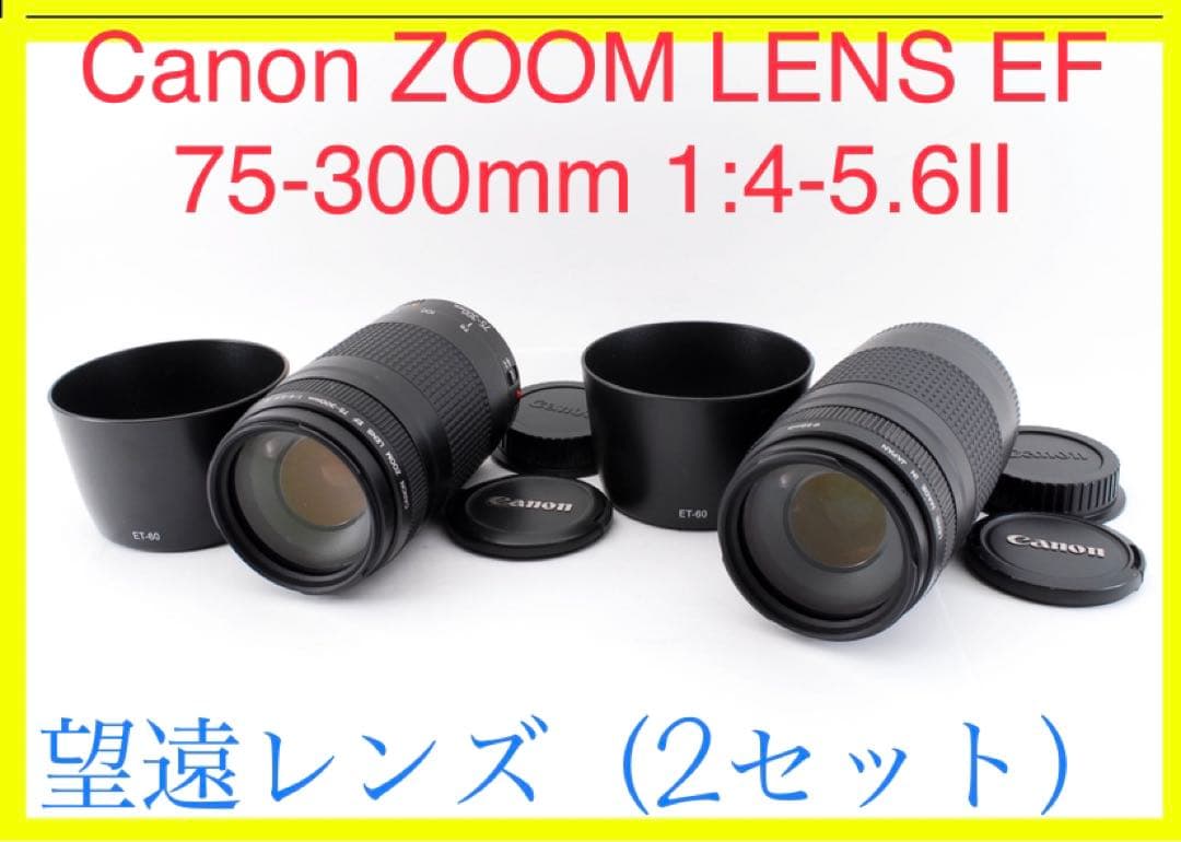 2SET レンズフード付 キヤノン  Canon EF 75-300mm II