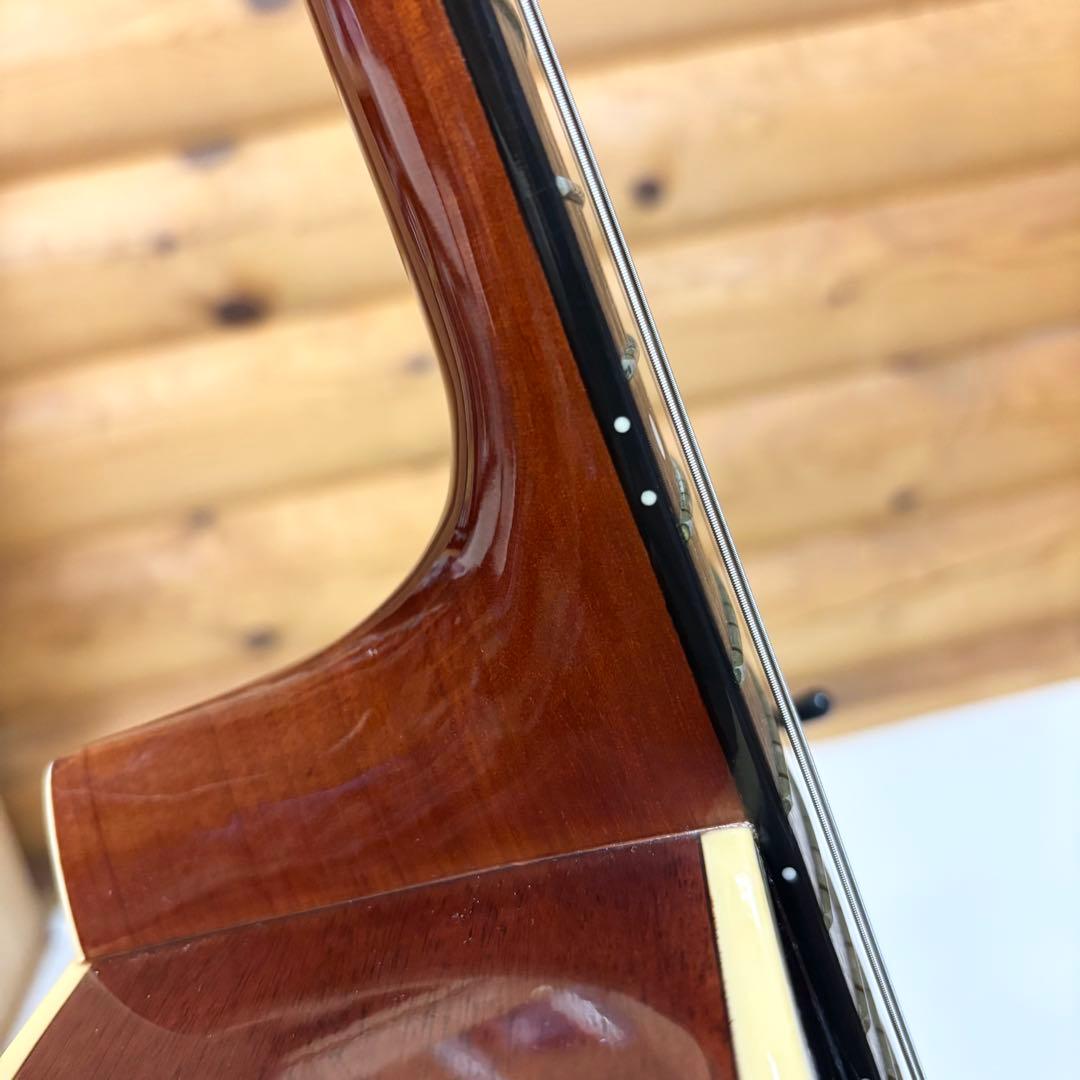 Stafford スタッフォード エレアコ カート・コバーン SF-SI-BS