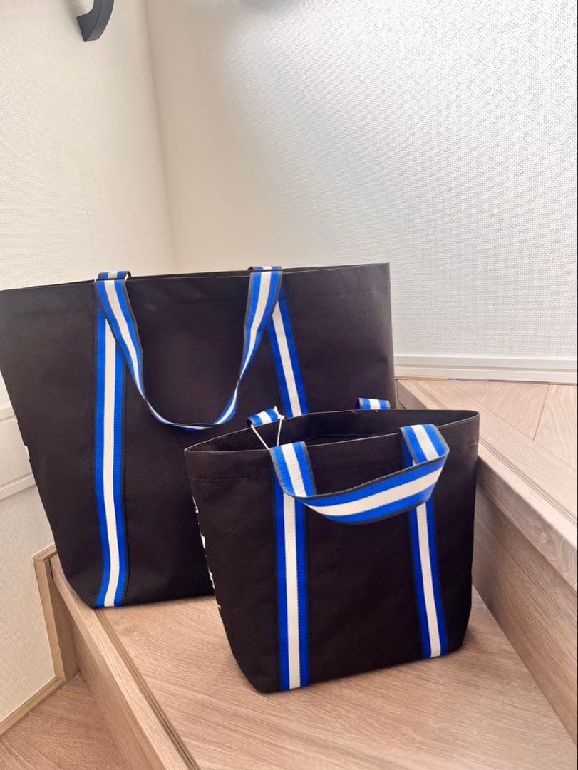 アニヤ・ハインドマーチ　THE UNIVERSAL BAG 大小セット