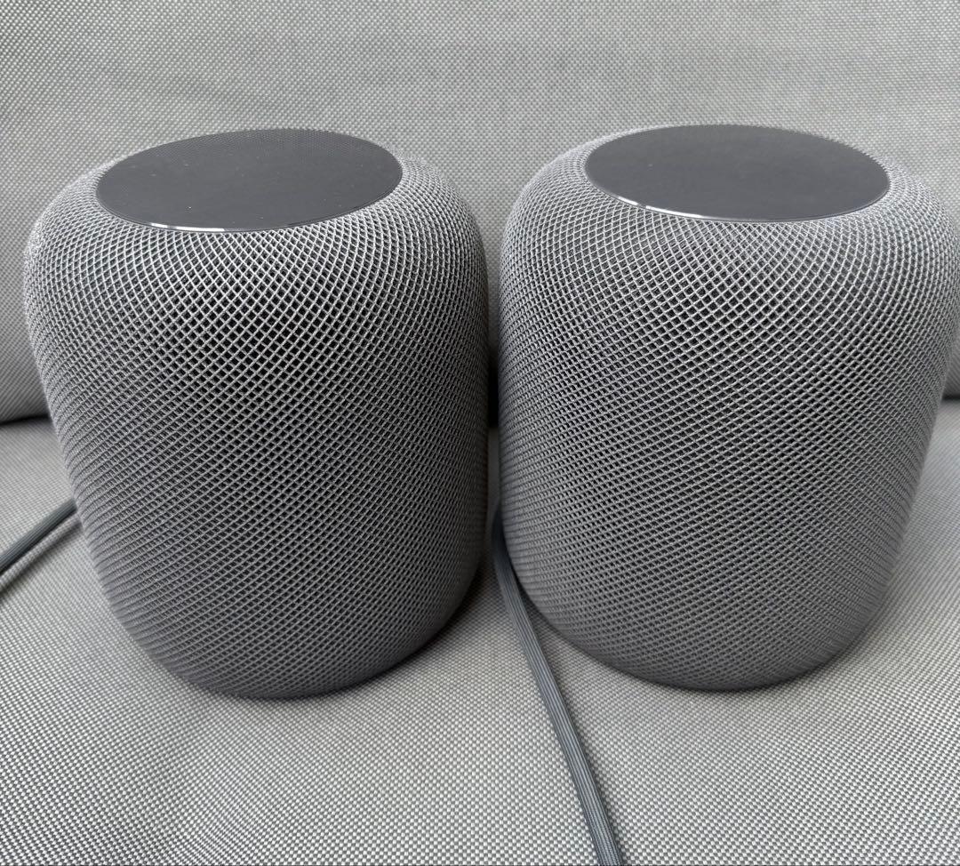 Apple Pod 第1世代2セット（黒）
