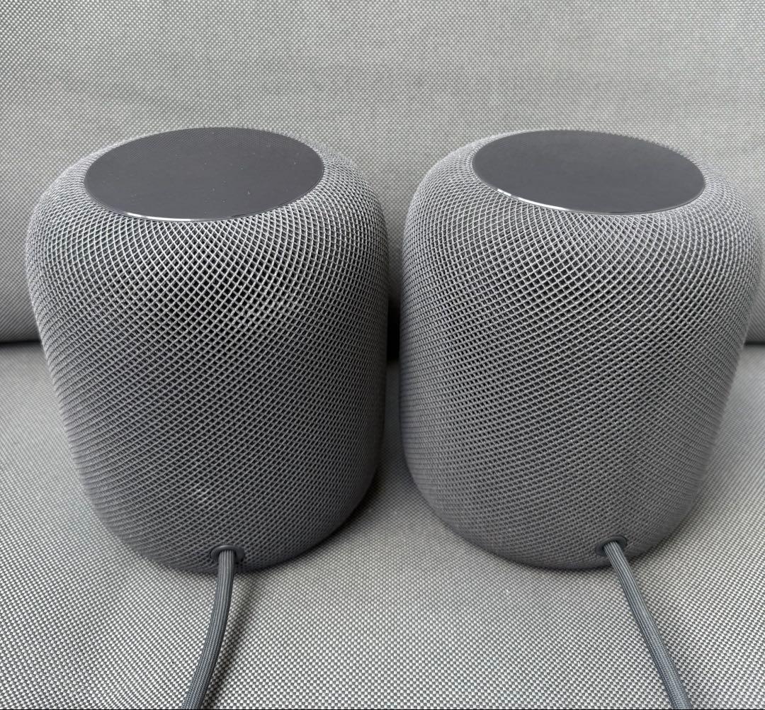 Apple Pod 第1世代2セット（黒）