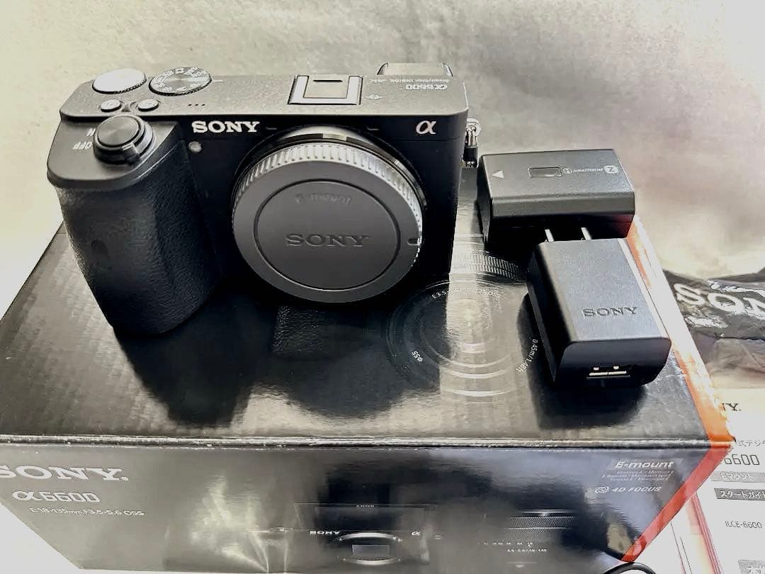 SONY α6600 ボディ 本体（購入時付属品＋おまけ付き）