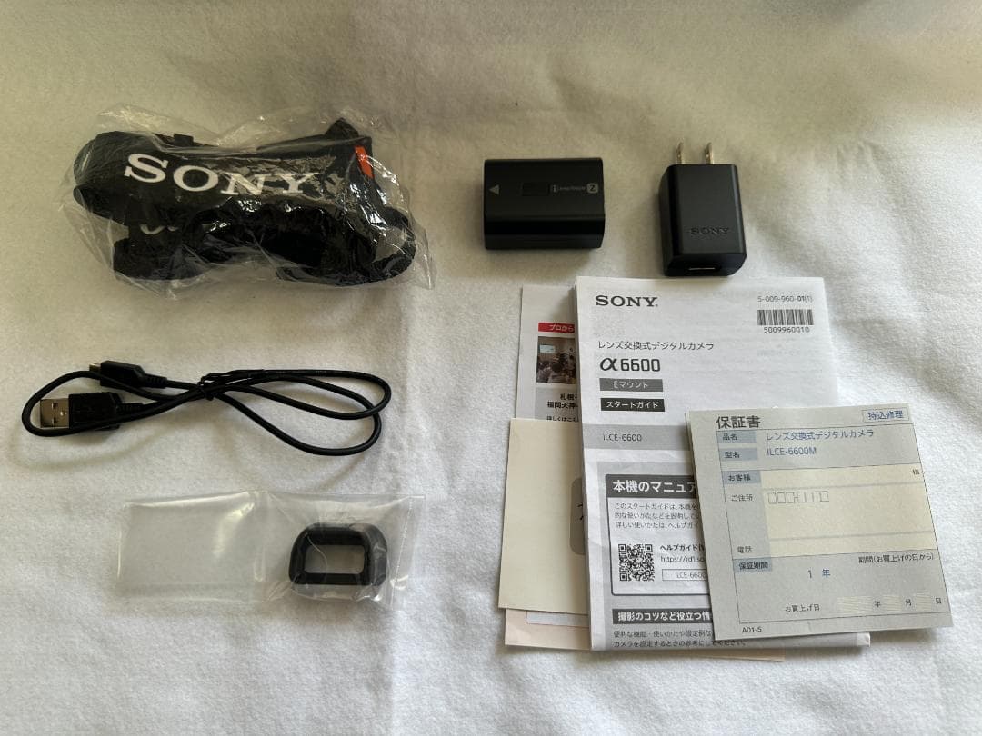 SONY α6600 ボディ 本体（購入時付属品＋おまけ付き）
