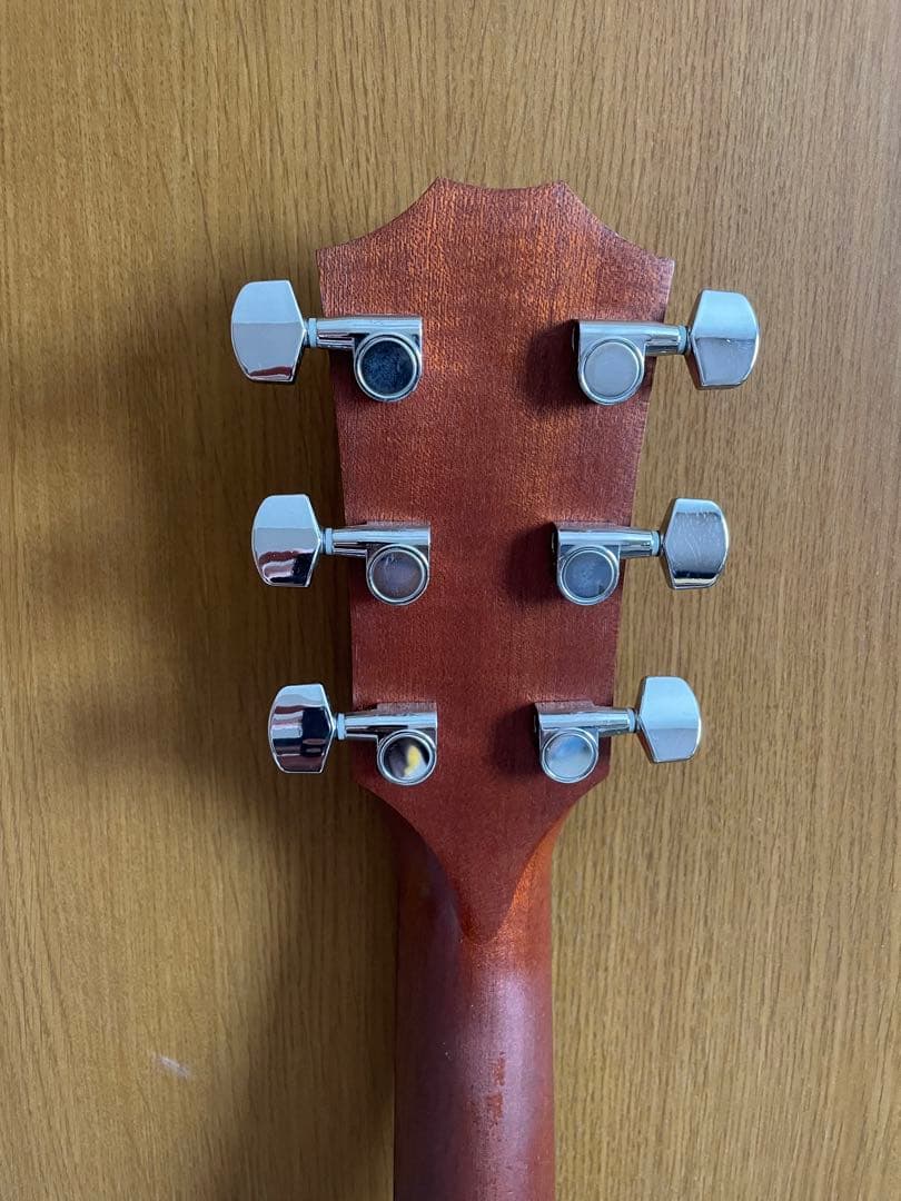 Taylor 210ce ソフトハードケース・新品弦付き