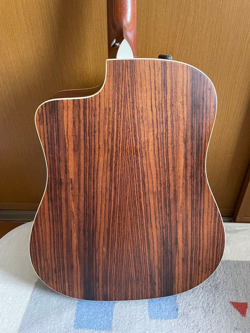 Taylor 210ce ソフトハードケース・新品弦付き