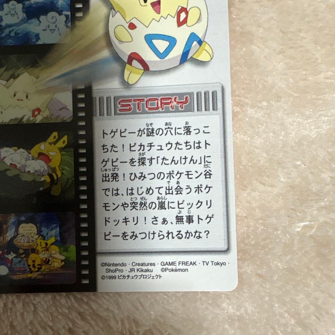 か*ぃ様 ポケモンずかんカード　ピカチュウたんけんたい