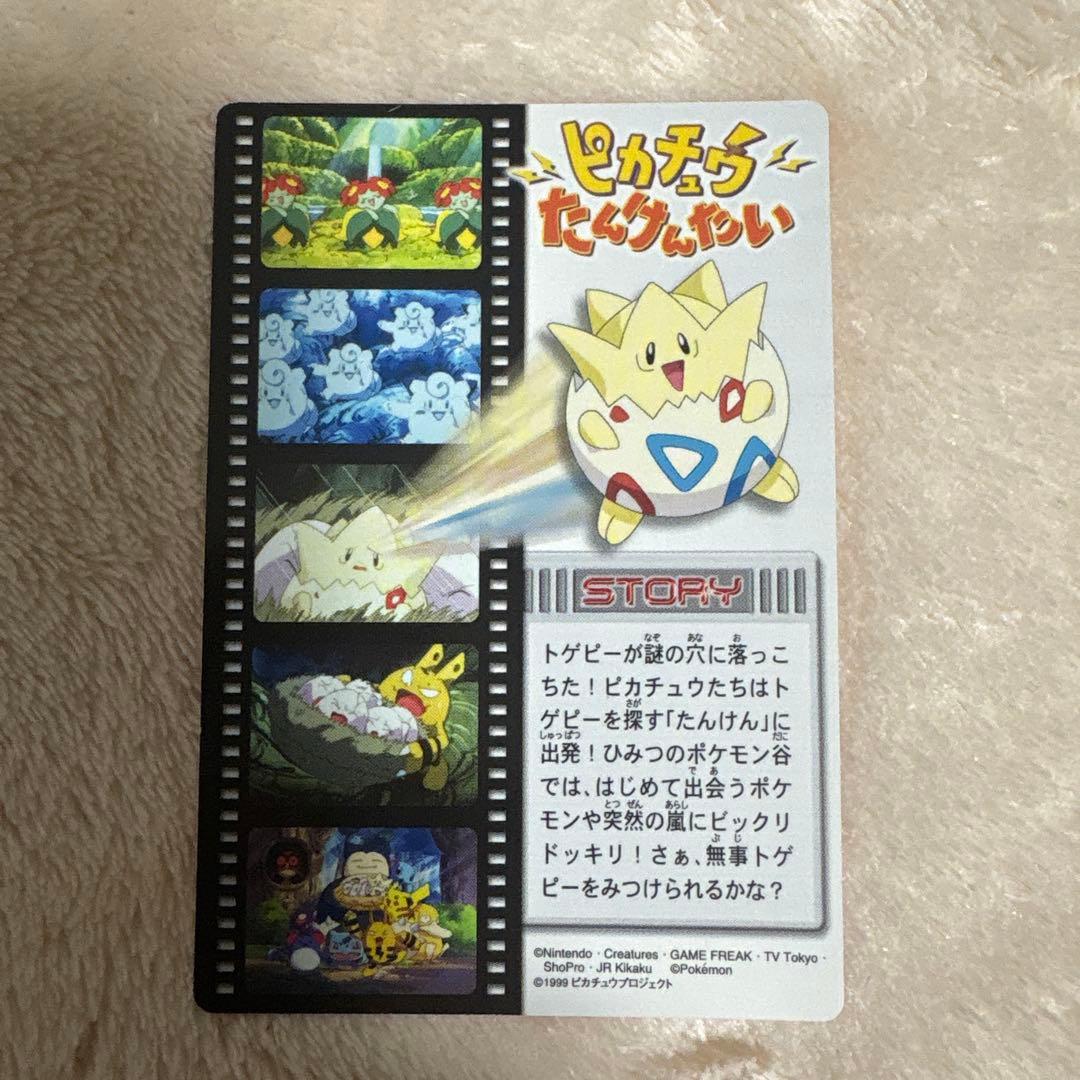 か*ぃ様 ポケモンずかんカード　ピカチュウたんけんたい