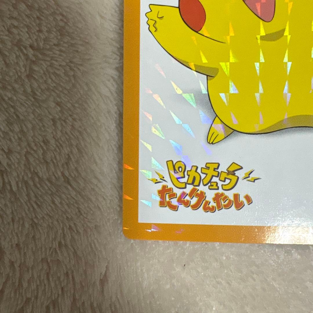 か*ぃ様 ポケモンずかんカード　ピカチュウたんけんたい