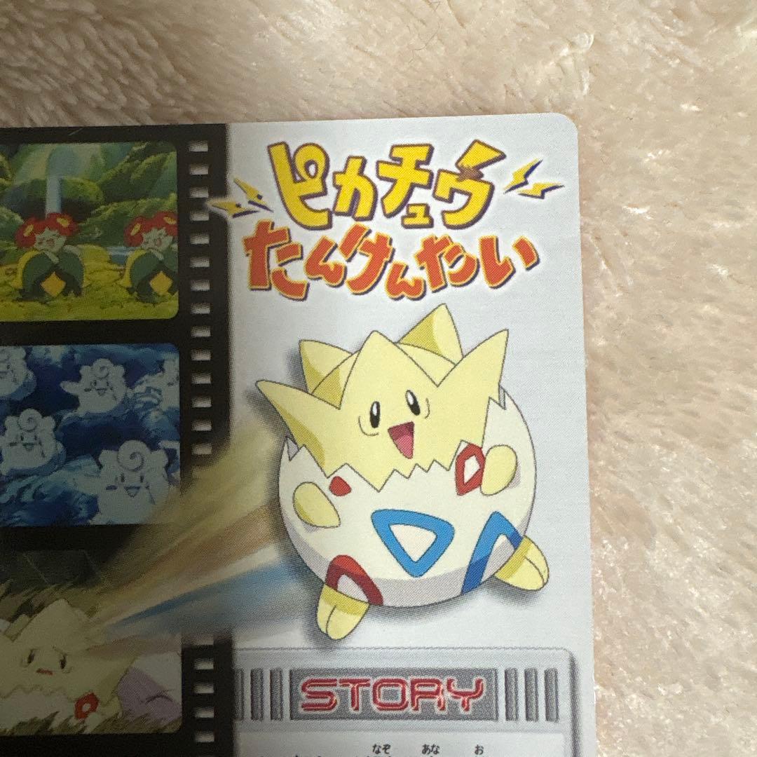 か*ぃ様 ポケモンずかんカード　ピカチュウたんけんたい