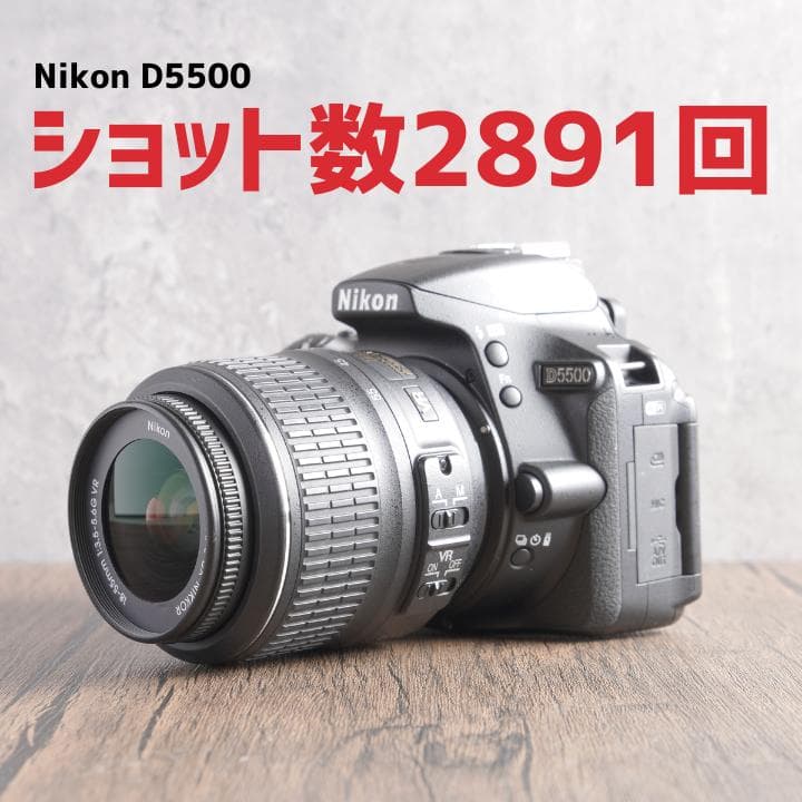 ショット数2891回で美品✨Wi-Fi✨自撮り✨Nikon D5500　740