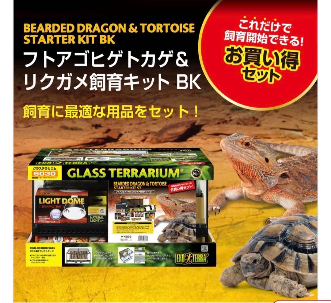 【0825】GLASS TERRARIUM 6030 飼育セット