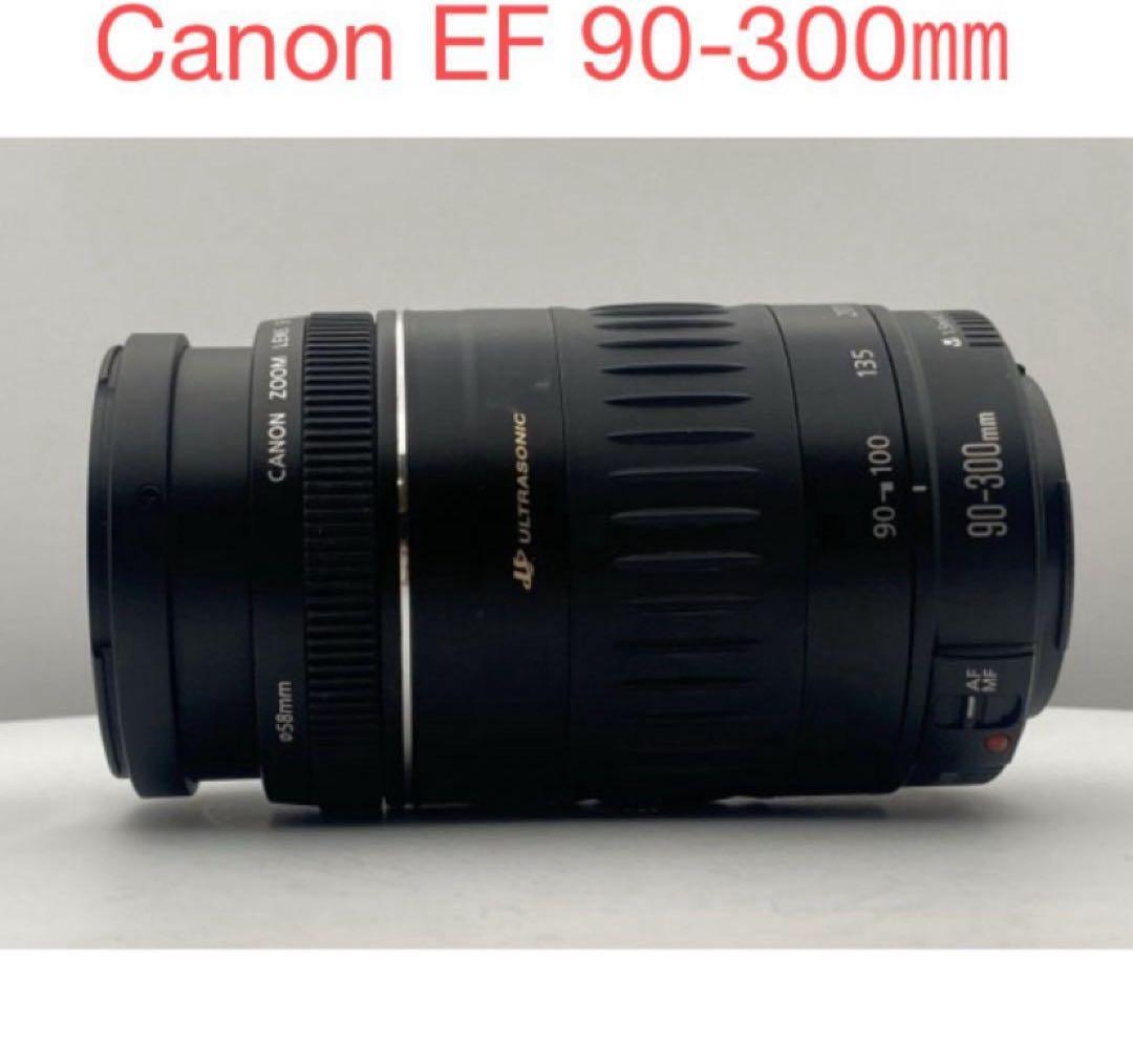 望遠レンズ☆美品☆Canon EF 90-300mm F4.5-5.6 USM☆