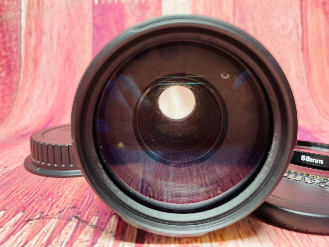 CANON キャノン EF 75-300mm 1:4-5.6 Ⅱ USM