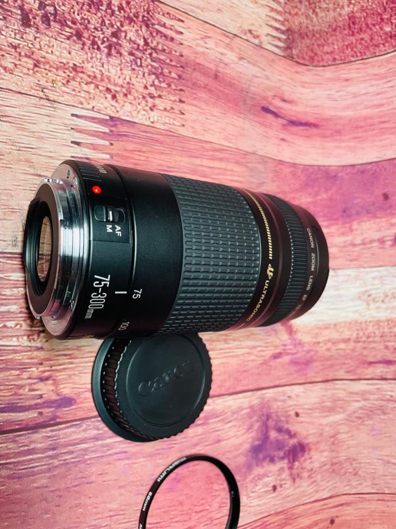 CANON キャノン EF 75-300mm 1:4-5.6 Ⅱ USM