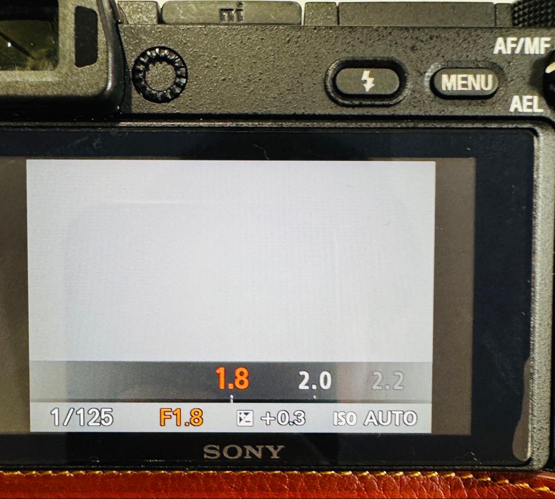 SEL50F18 動作確認済 美品