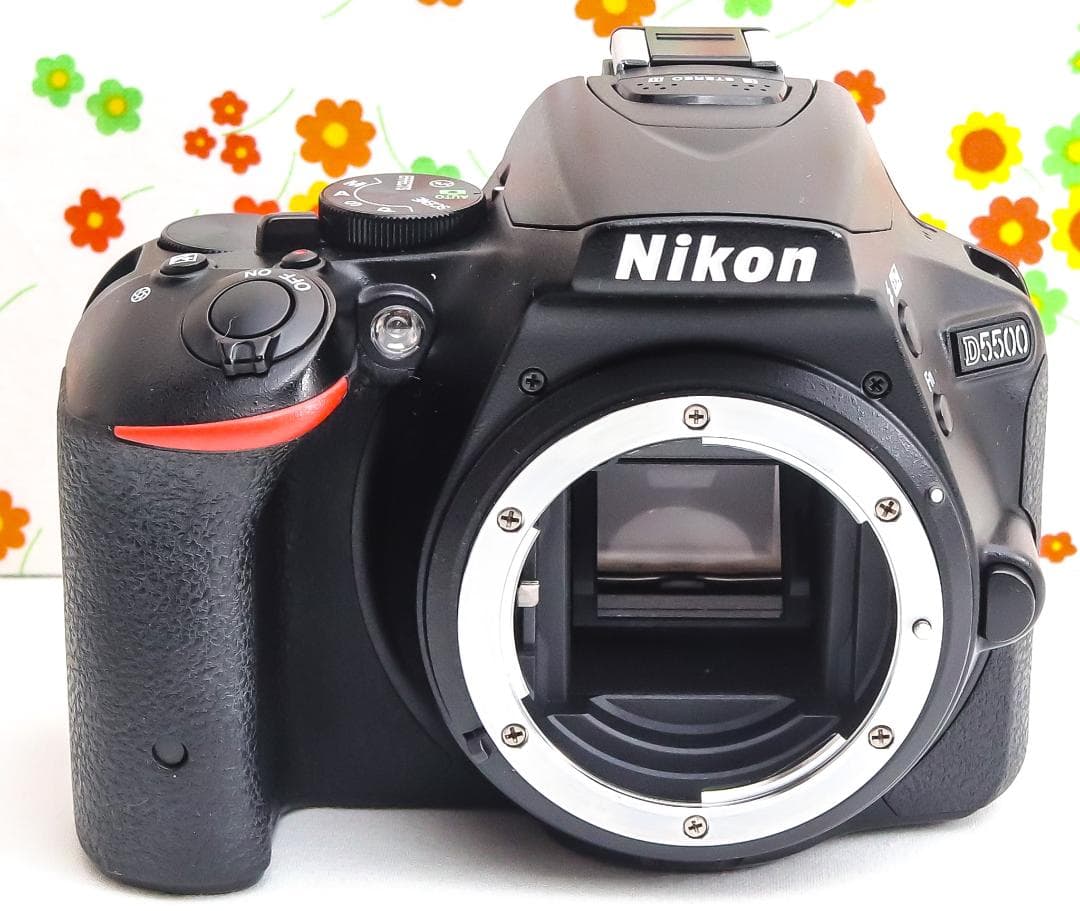 Nikon D5500☆Wi-Fi内蔵☆高性能一眼レフ☆自撮り可能☆ダブルレンズ