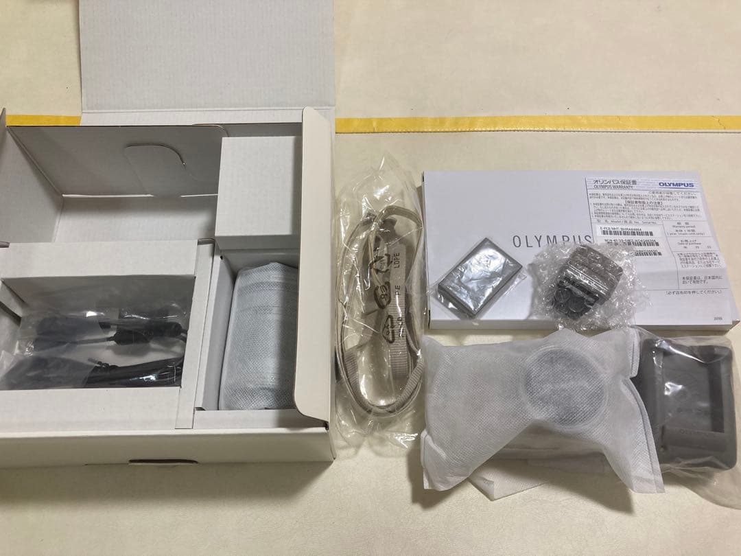 オリンパスペン OLYMPUS PEN E-PL8 ミラーレス一眼★収納ケース付