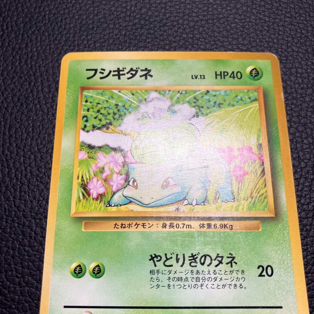 フシギダネ　旧裏　初版　マークなし　ポケモンカード
