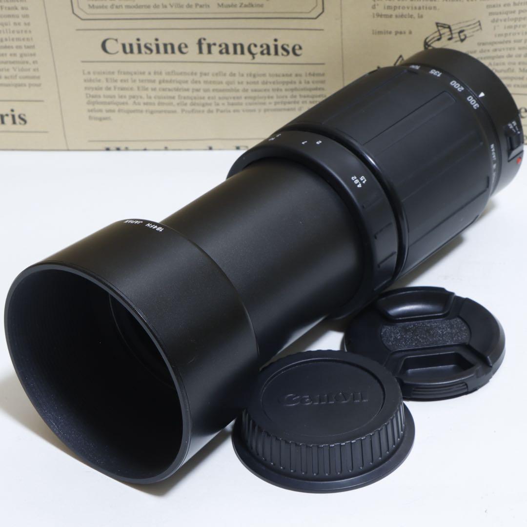 ◇大迫力300mm超望遠◇ TAMRON 70-300mm for Canon