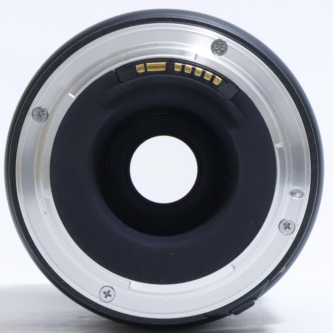 ◇大迫力300mm超望遠◇ TAMRON 70-300mm for Canon