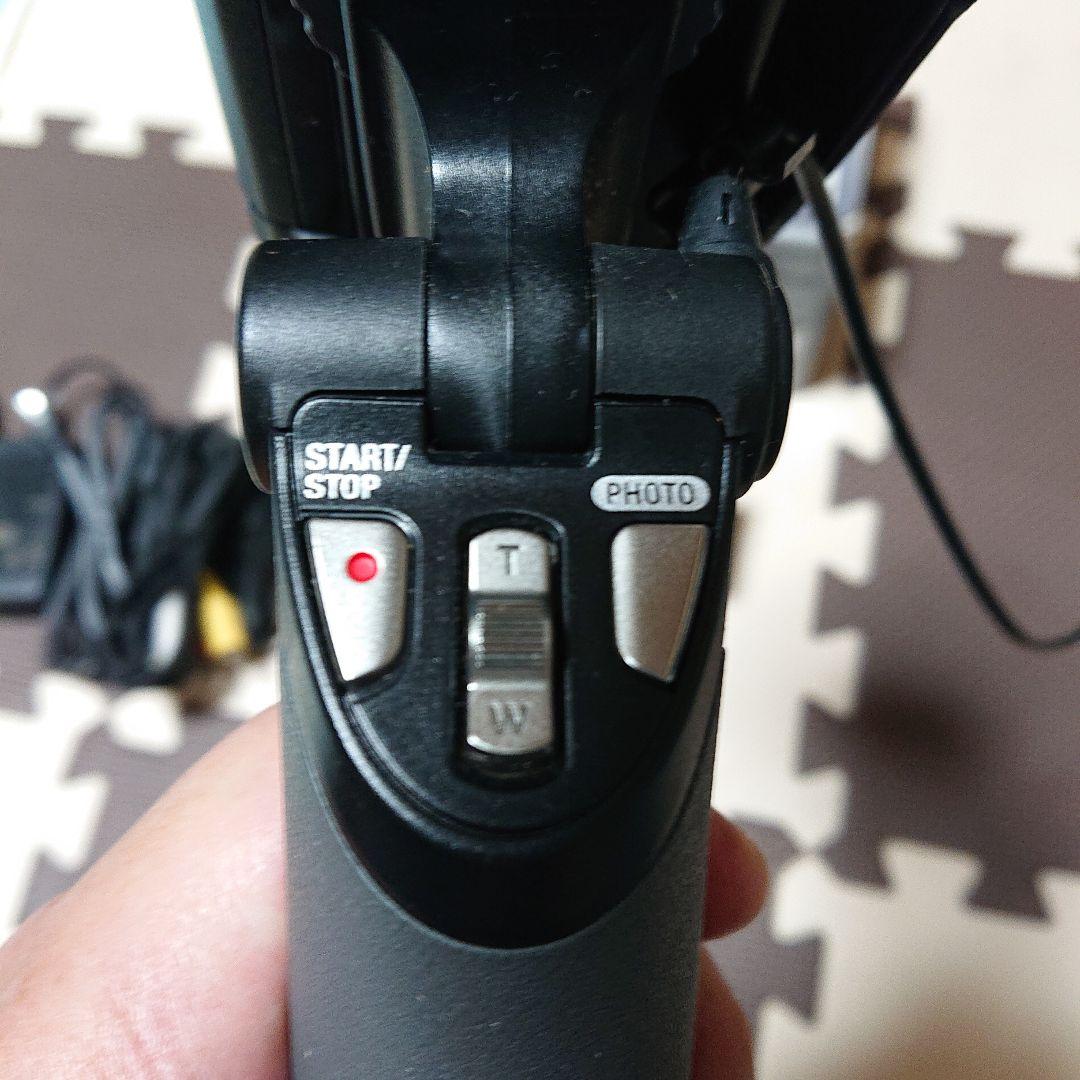 SONY ハンディーカム ビデオカメラ HDR-PJ590V