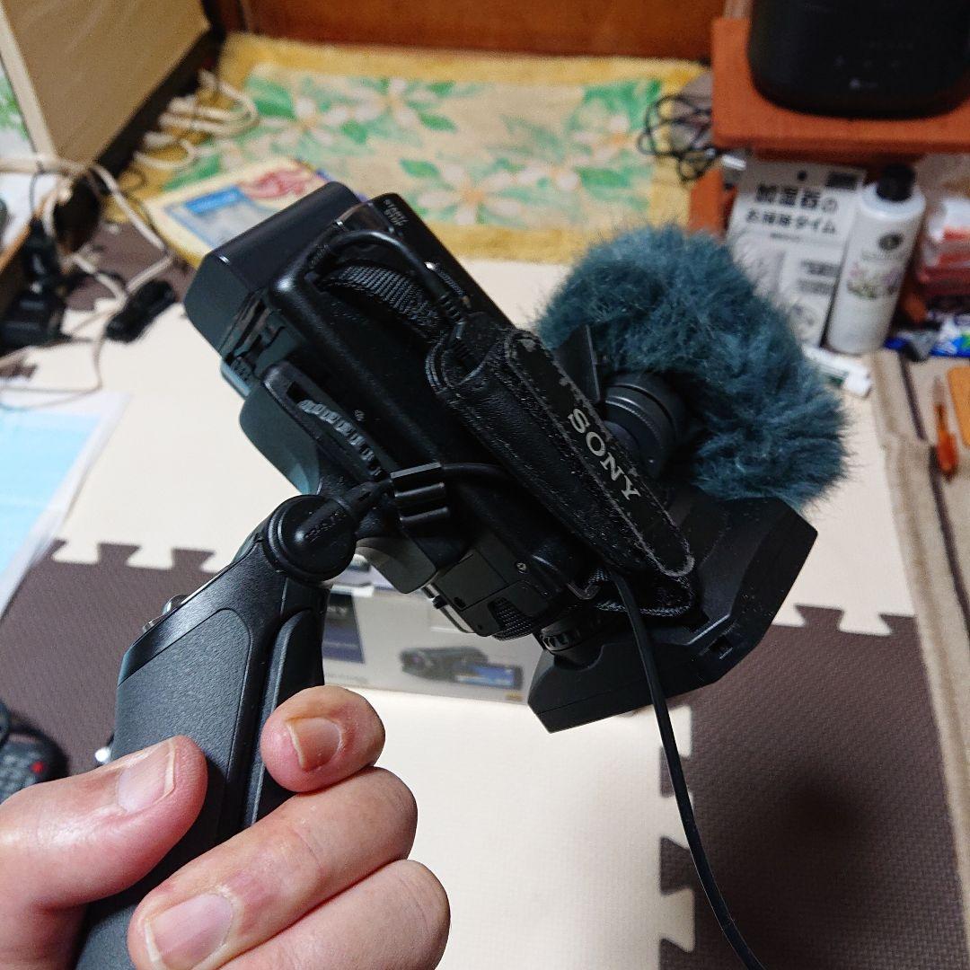 SONY ハンディーカム ビデオカメラ HDR-PJ590V