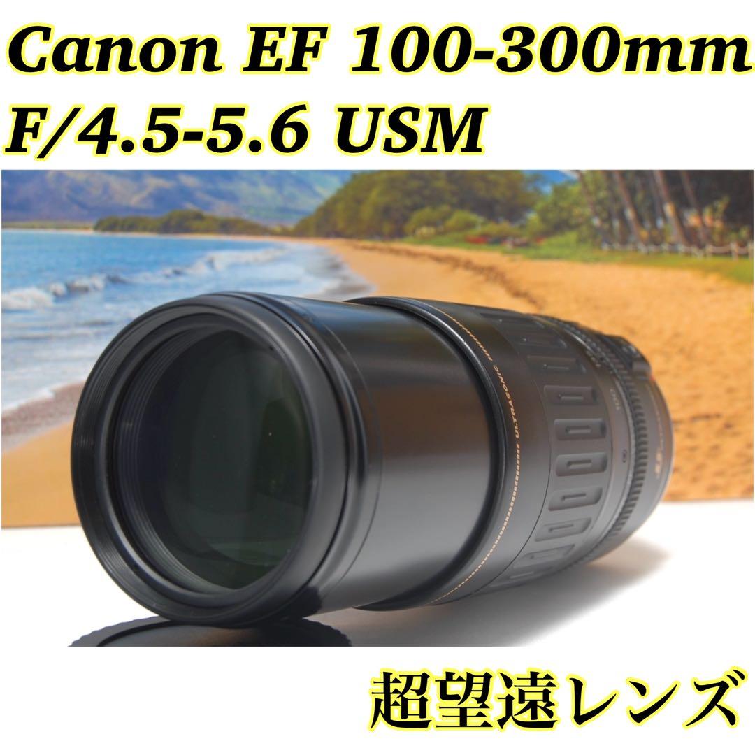 動作良好 Canon 超望遠レンズ EF 100-300mm 人気 初心者
