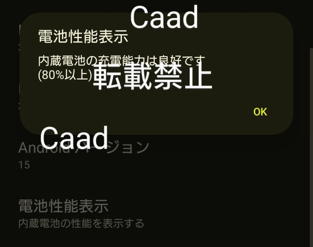 SONY Xperia 1V 本体　グリーン　16GB/512GB　カバー付