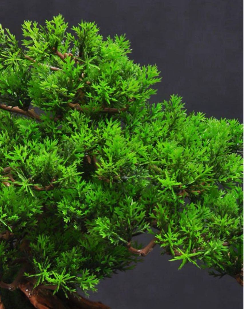 人工盆栽 盆栽 フェイク盆栽 松 大型 フェイクグリーン 造花 高品質 大