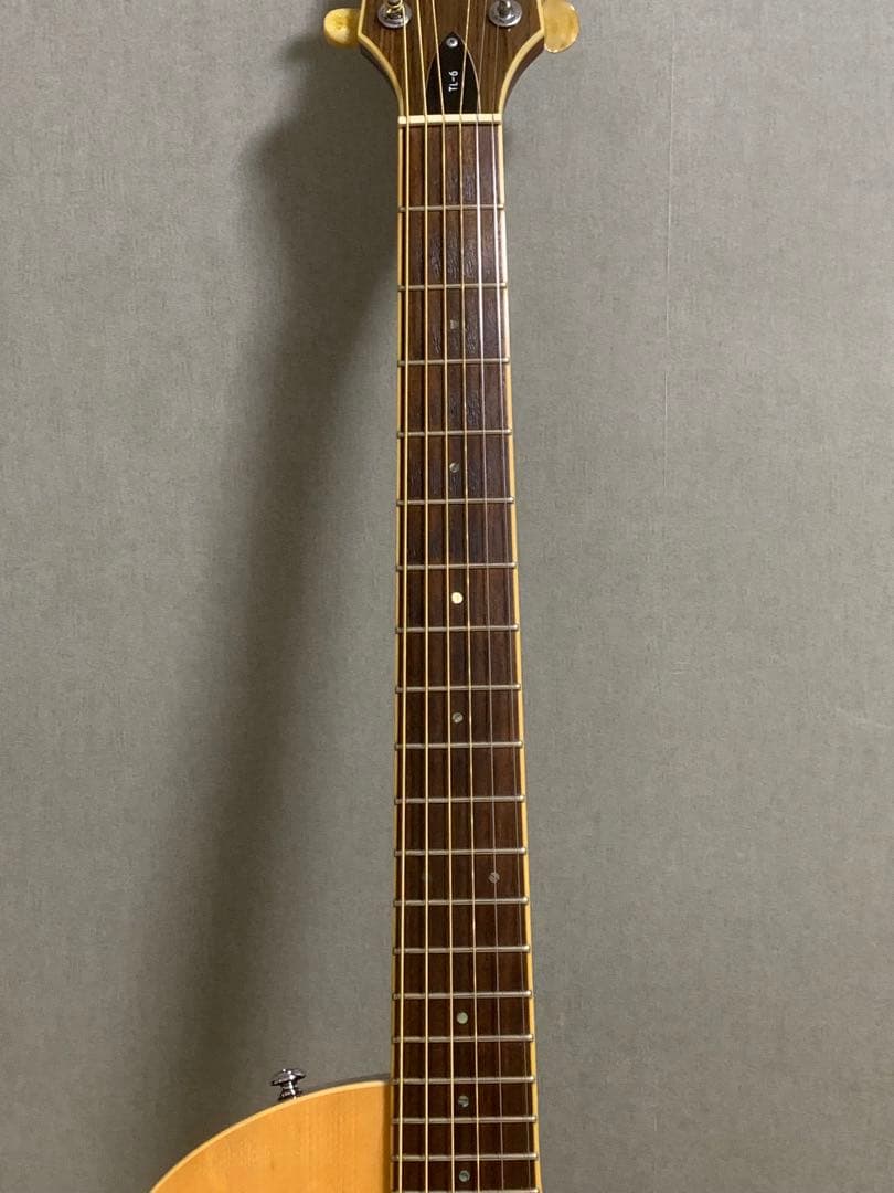 LTD (ESP) TL-6 ソリッドエレアコ