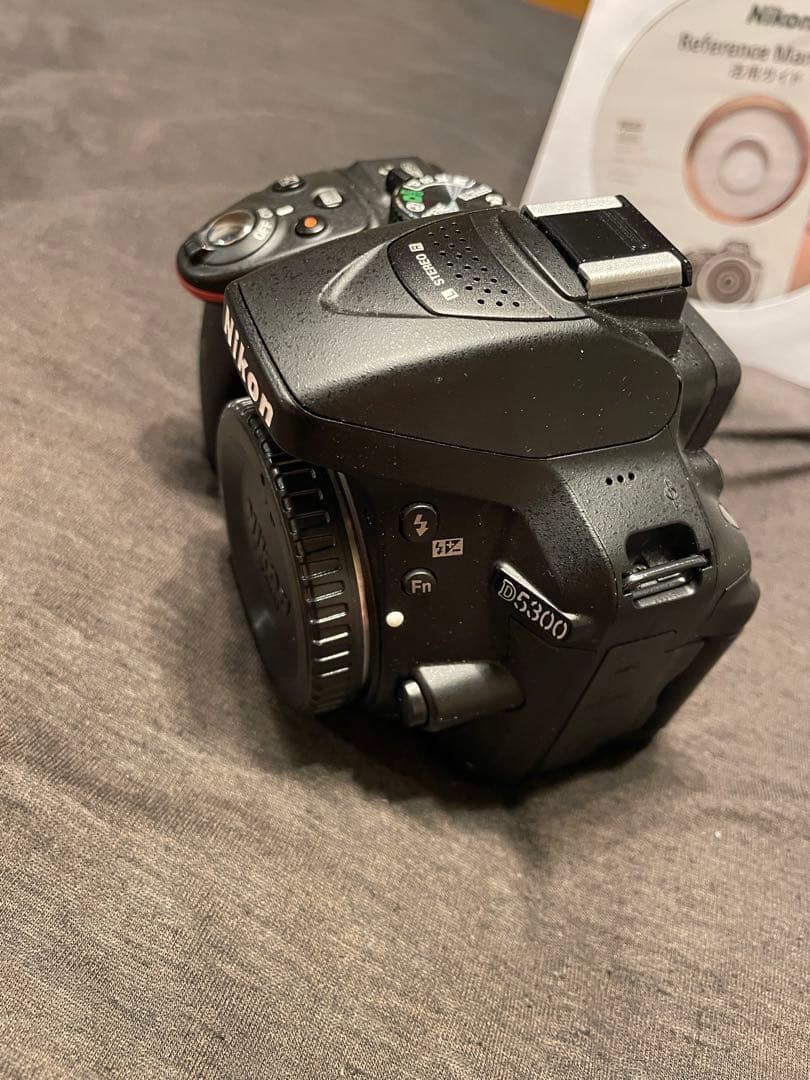 Nikon D5300 AF-P ダブルズームキット　別売レンズセット