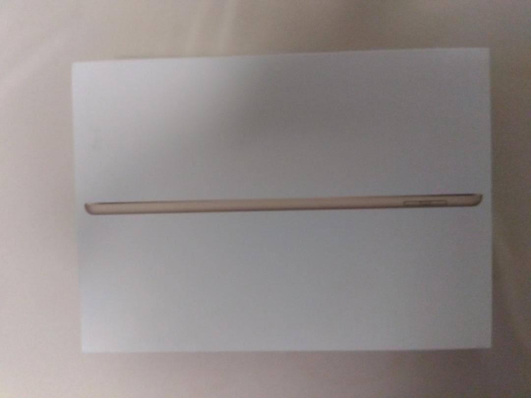 iPad Wi-Fi + Cellular 32GB（第5世代）