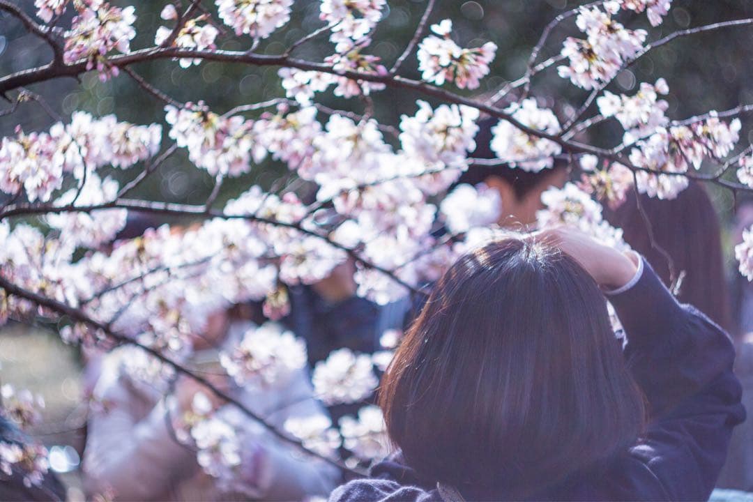 ヘリオス44 58mm F2 M42 オールドレンズ ぐるぐるボケ