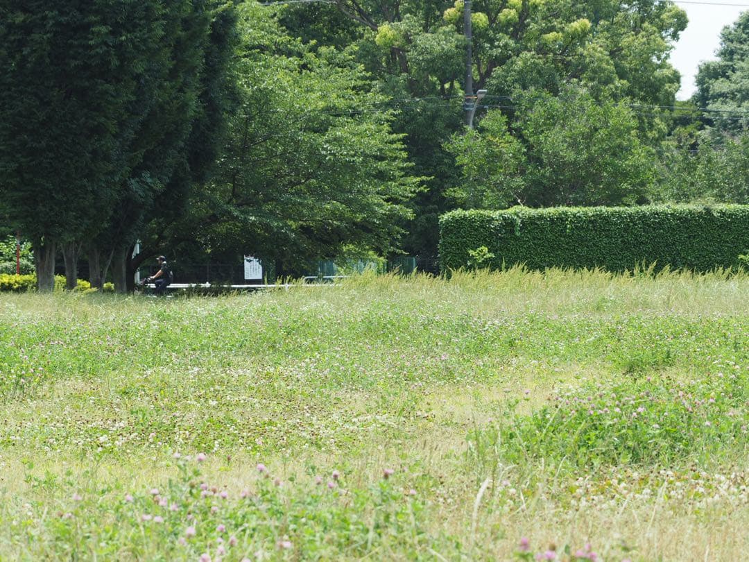 Olympus Zuiko Digital 50-200/2.8-3.5フード付