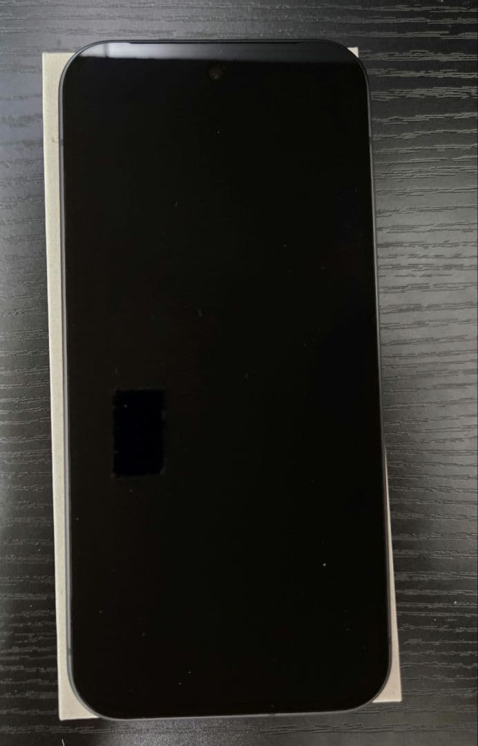 GooglePixel9本体 Obsidian 256GB　SIMフリー品