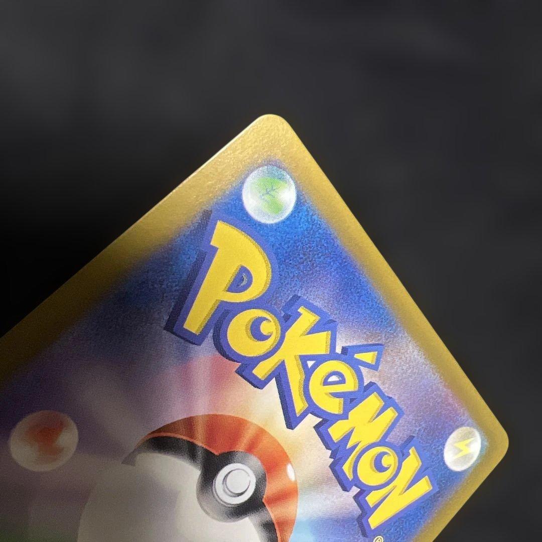 専用出品 ブラッキー ex sar