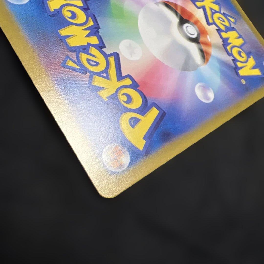 専用出品 ブラッキー ex sar