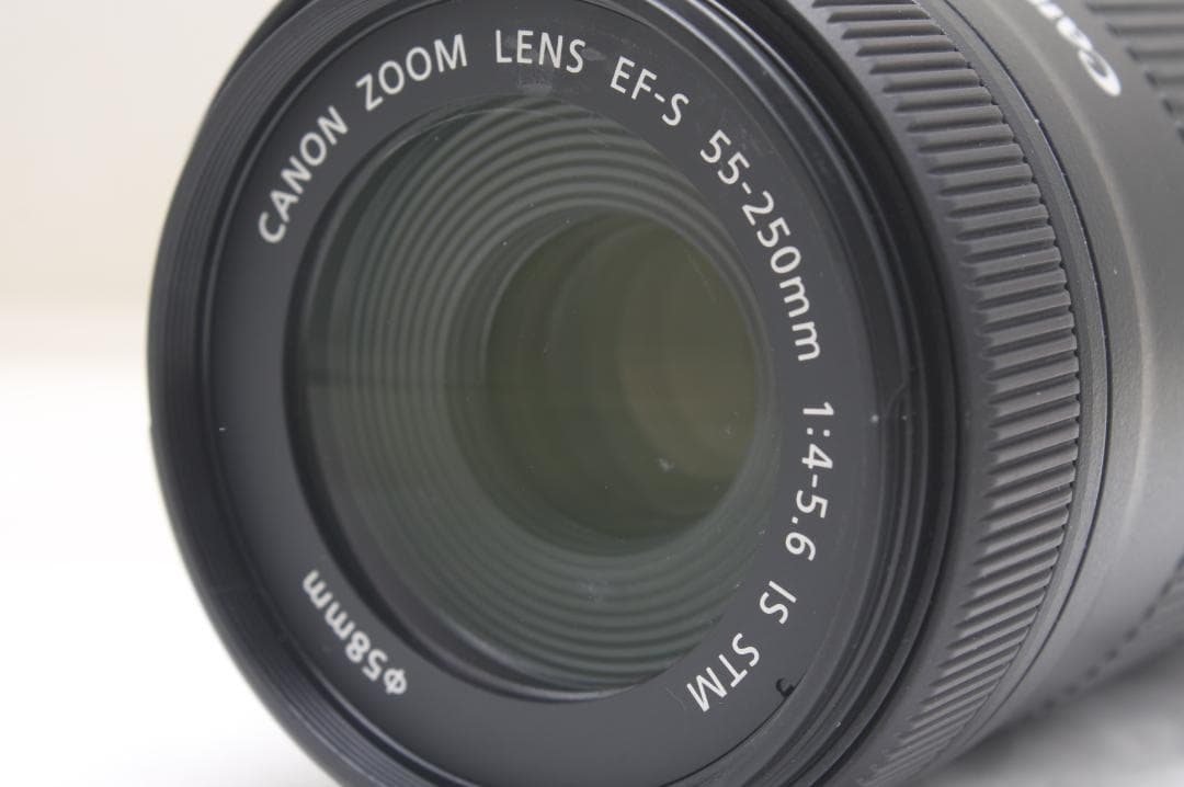 キヤノン EF-S 55-250mm F4-5.6 IS STM 3310