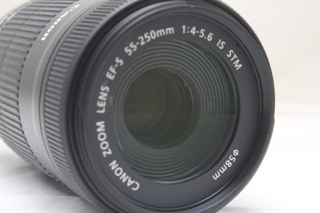 キヤノン EF-S 55-250mm F4-5.6 IS STM 3310