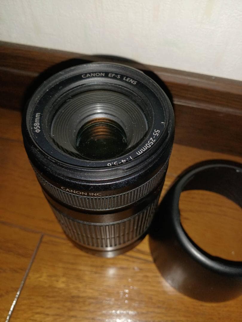 CannonEF-S55-250㎜