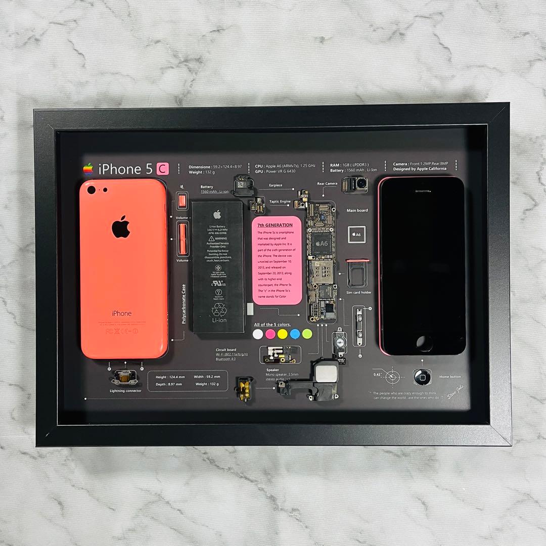 iPhone 5c ピンク 標本アート ボックスフレーム仕様