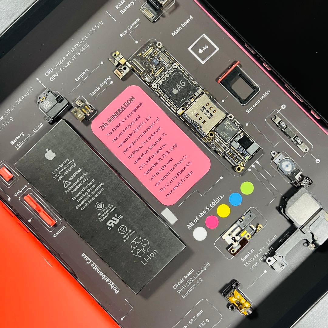 iPhone 5c ピンク 標本アート ボックスフレーム仕様