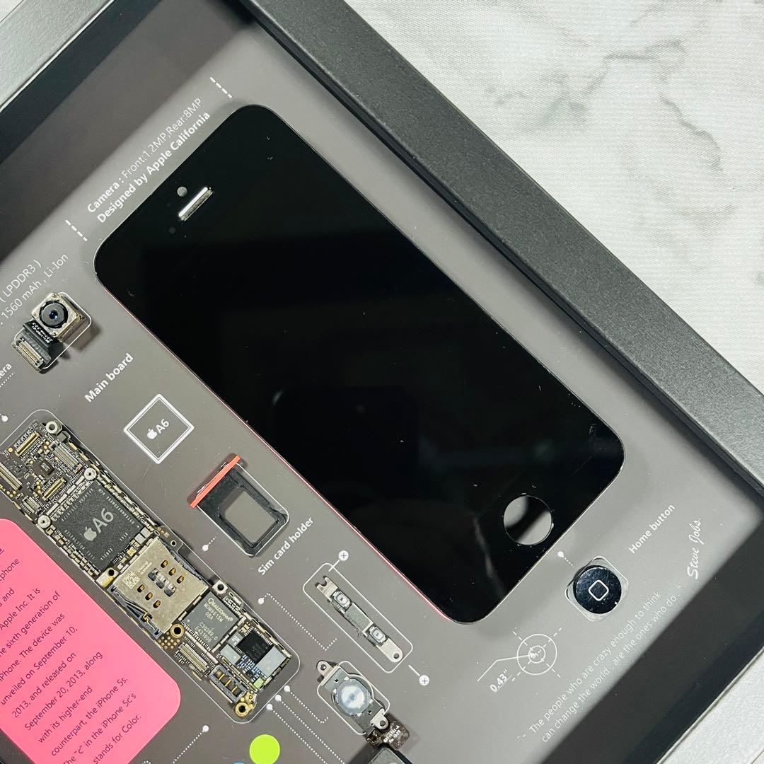 iPhone 5c ピンク 標本アート ボックスフレーム仕様