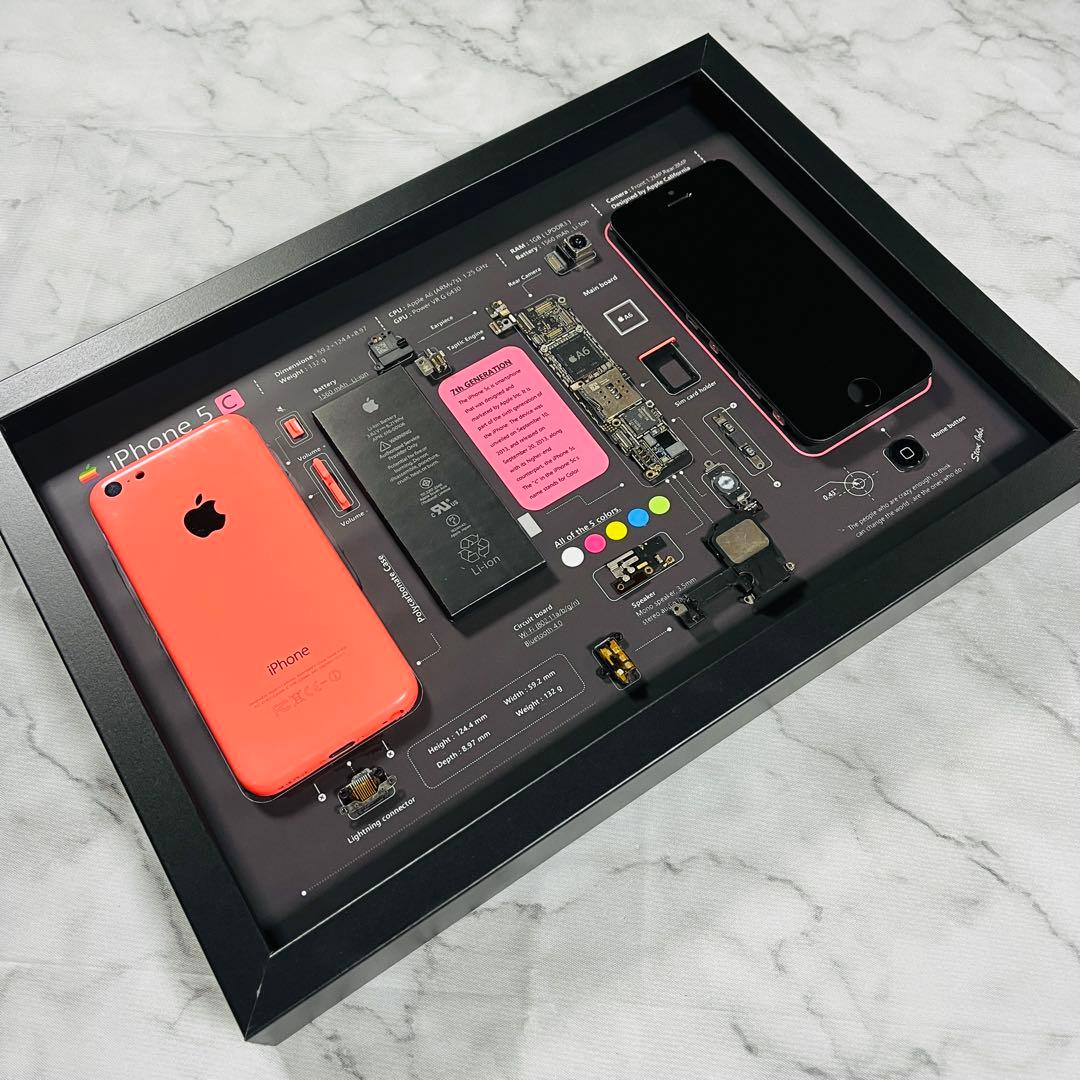 iPhone 5c ピンク 標本アート ボックスフレーム仕様